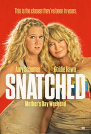 Snatched (2017)